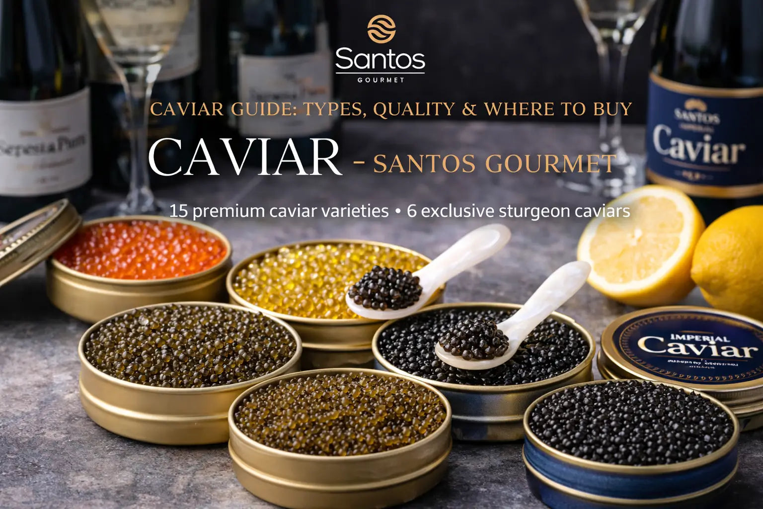 Caviar Guide: Types, Quality : Where to Buy Caviar – Santos Gourmet Santos Gourmet