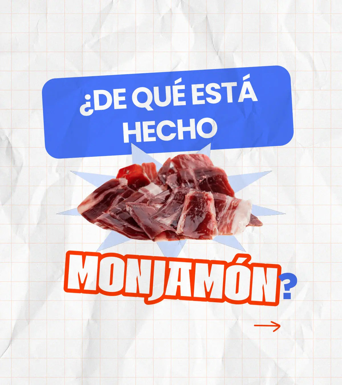 Jamón de Bellota 100% Ibérico +42 Meses | Certificado BRIDA NEGRA MONJAMON Y MAS