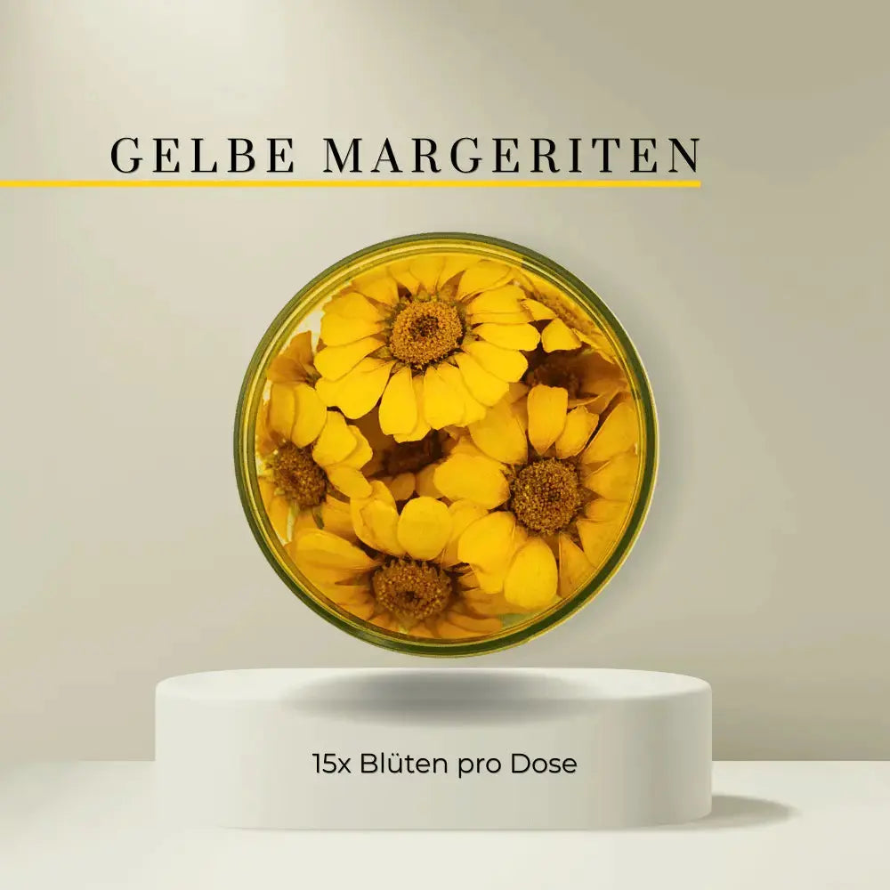 GELBE MARGERITEN-YELLOW MARGUERITES 15 St. Santos Gourmet