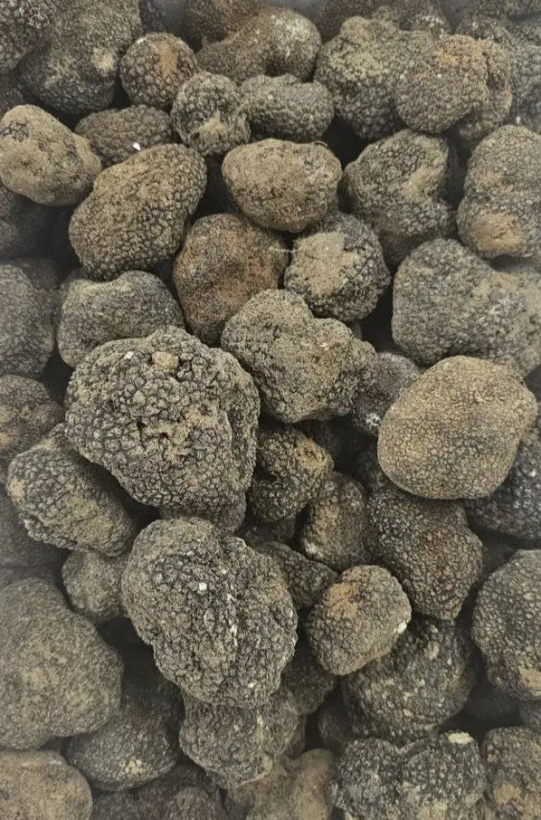 fresh black summer truffle 100gr Santos Gourmet